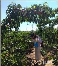 无锡4399js金莎化工科技开发有限公司