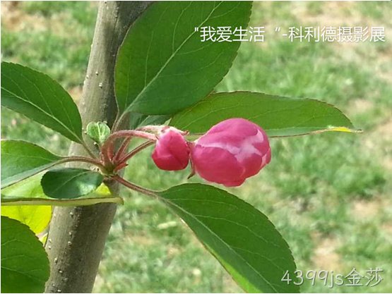 无锡4399js金莎化工科技开发有限公司